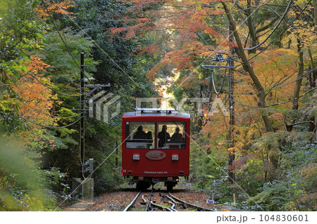 紅葉した木々のトンネルを進む、秋の筑波山の赤いケーブルカー 紅葉した木々のトンネルを進む、秋の筑波山の赤いケーブルカー 104830601