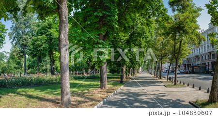 Sobornaya square in Odessa, Ukraine Sobornaya square in Odessa, Ukraine 104830607