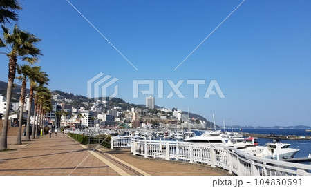 熱海　ヨットハーバーとヤシの木 104830691