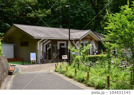 町田市 都立小山田緑地本園の小山田緑地サービスセンターと新緑 町田市 都立小山田緑地本園の小山田緑地サービスセンターと新緑 104831145