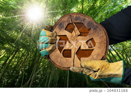 Sustainable Resources - Cross Section of a Tree Trunk with a Wooden Recycle Symbol Sustainable Resources - Cross Section of a Tree Trunk with a Wooden Recycle Symbol 104831168