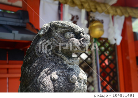 京都福王子神社夫荒神社の狛犬阿形 京都福王子神社夫荒神社の狛犬阿形 104831491