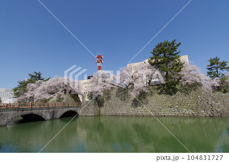 春の福井城跡と福井県庁 104831727