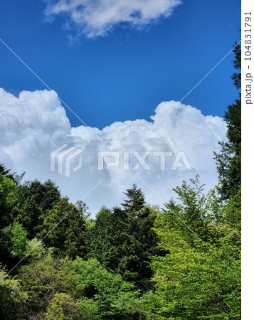 夏の青空と入道雲 夏の青空と入道雲 104831791