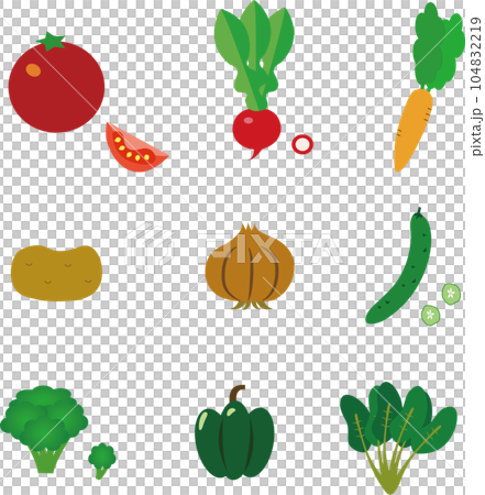 一套 9 幅蔬菜插圖 104832219