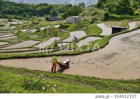 田植えの季節の姨捨棚田 104832357