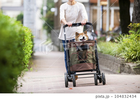 ペットカートに乗って散歩する犬　目つむり 104832434
