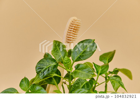 Bamboo toothbrush and herbs on beige background, closeup. 104832921