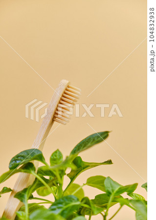Bamboo toothbrush and herbs on beige background, closeup. 104832938