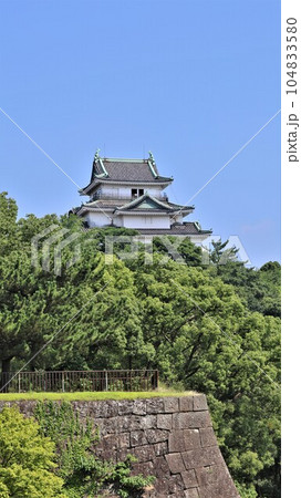 【動画あり】和歌山城（和歌山県和歌山市） 104833580
