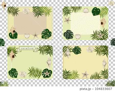 Summer frame [shell, palm, monstera] illustration material 104833607