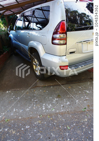 カラスの糞害 カラスの糞害 104834362