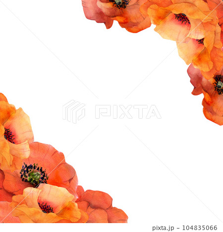 Watercolor square frame composition with hand drawn summer bright red poppy flowers. Isolated on white background. Design for invitations, wedding, love or greeting cards, paper, print, textile 104835066