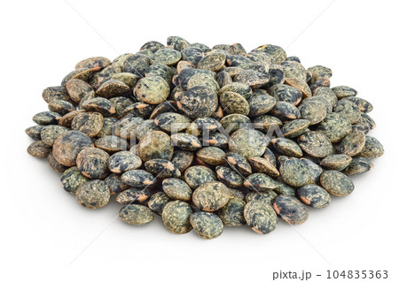 raw french green lentils isolated on white background with full depth of field raw french green lentils isolated on white background with full depth of field 104835363
