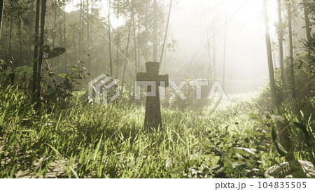 weathered tombstone amidst trees weathered tombstone amidst trees 104835505