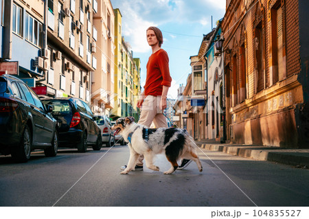 Young handsome Caucasian man wearing eyeglasses calls in cellphone walking with leashed pure breed aussie dog. Beautiful city landscape in background. Young handsome Caucasian man wearing eyeglasses calls in cellphone walking with leashed pure breed aussie dog. Beautiful city landscape in background. 104835527