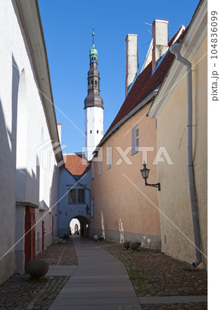 Pedestrian street in Tallinn Pedestrian street in Tallinn 104836099