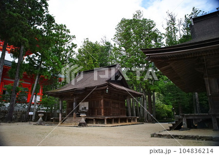 高野山の壇上伽藍へ入る蛇腹道の情景 104836214
