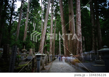 高野山の奥之院の参道の情景 104836226