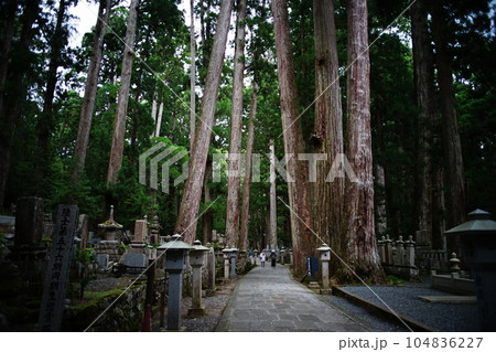 高野山の奥之院の参道の情景 高野山の奥之院の参道の情景 104836227