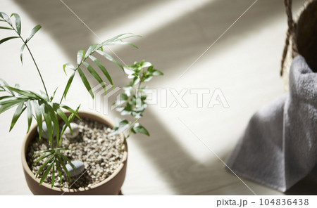 This room has a calm atmosphere with natural light. There are clay pots, glass bottles, coffee and various objects on the table. This room has a calm atmosphere with natural light. There are clay pots, glass bottles, coffee and various objects on the table. 104836438