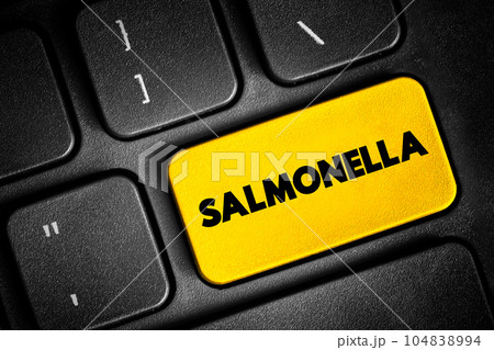 Salmonella is a genus of rod-shaped Gram-negative bacteria of the family Enterobacteriaceae, text button on notepad, concept background Salmonella is a genus of rod-shaped Gram-negative bacteria of the family Enterobacteriaceae, text button on notepad, concept background 104838994