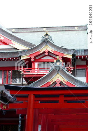 京濱伏見稲荷神社の風景 京濱伏見稲荷神社の風景 104840055