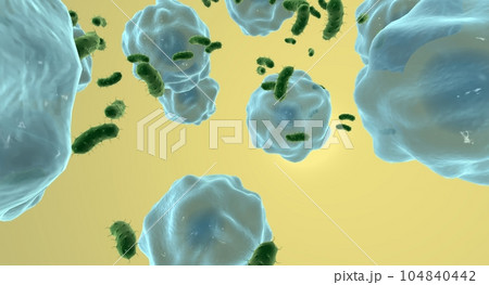 Urinary Tract Infection Bacterial Infection Urinary Tract Infection Bacterial Infection 104840442