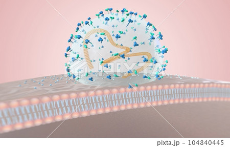 virus attack on immune system virus attack on immune system 104840445