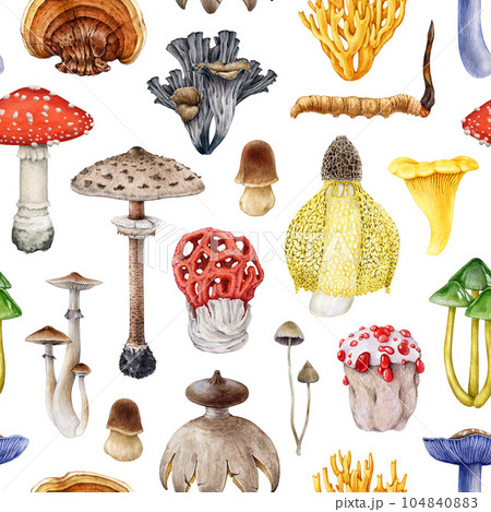 Painted vintage style mushrooms seamless pattern. Watercolor illustration. Hand drawn various exotic mushroom elements. Different beautiful fungi seamless pattern. White background 104840883