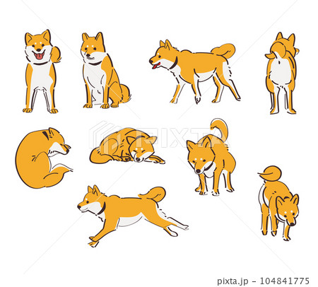 いろいろな柴犬セット いろいろな柴犬セット 104841775