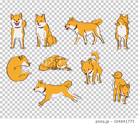 いろいろな柴犬セット いろいろな柴犬セット 104841775