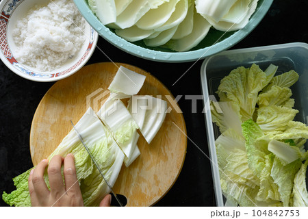 Kimchi cabbage cooking, Chopped cabbage on cutting wooden board and soak with salt, Korean homemade, Table top view Kimchi cabbage cooking, Chopped cabbage on cutting wooden board and soak with salt, Korean homemade, Table top view 104842753