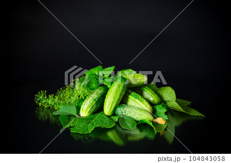 a set of products for pickling cucumbers 104843058