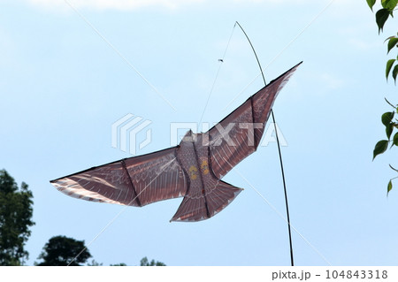 害鳥よけカイト 害鳥よけカイト 104843318