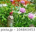 紫陽花のある庭 104843453