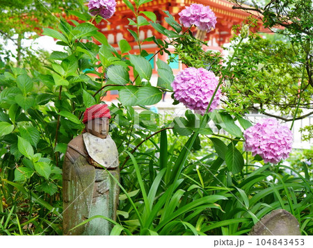 紫陽花のある庭 紫陽花のある庭 104843453