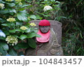白い花に囲まれたお地蔵さん 104843457