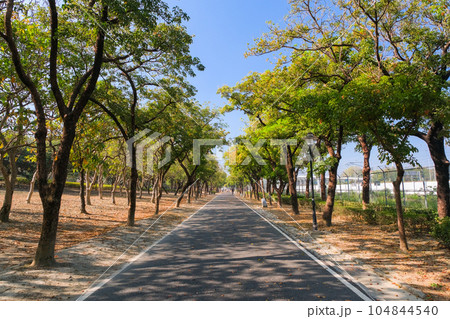 台湾 高雄市左營區 原生植物園の遊歩道 台湾 高雄市左營區 原生植物園の遊歩道 104844540