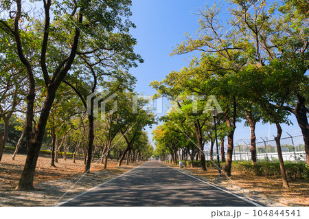 台湾 高雄市左營區 原生植物園の遊歩道 台湾 高雄市左營區 原生植物園の遊歩道 104844541
