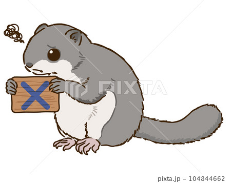 バツマークを描いた看板を持つエゾモモンガ 104844662