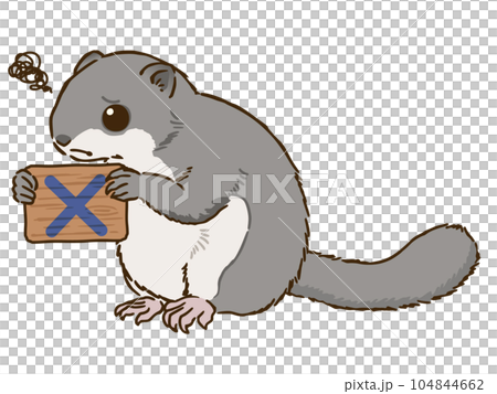 バツマークを描いた看板を持つエゾモモンガ 104844662