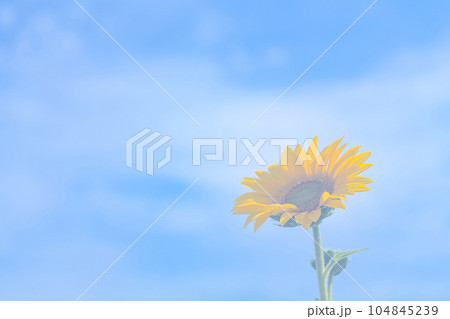 ノスタルジックな風景 イメージ ノスタルジックな風景 イメージ 104845239