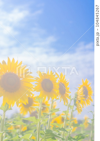 ノスタルジックな風景 イメージ 104845267