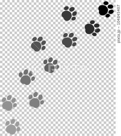 可愛い動物が歩いた肉球の足型イラスト 可愛い動物が歩いた肉球の足型イラスト 104845407