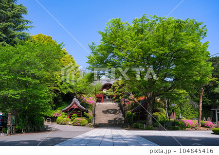 東京都文京区 護国寺 参道 104845416