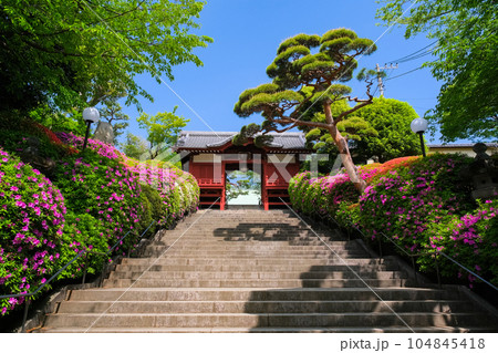 東京都文京区 護国寺 不老門 104845418