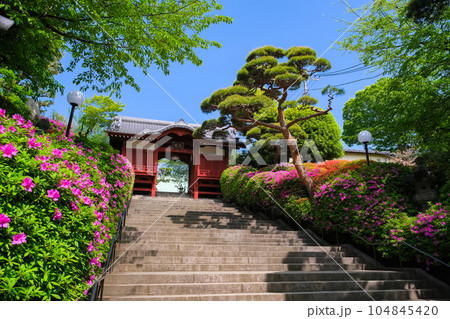 東京都文京区 護国寺 不老門 東京都文京区 護国寺 不老門 104845420