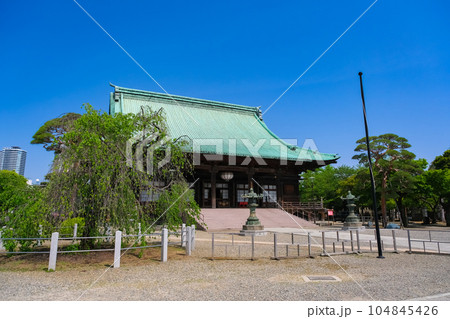 東京都文京区 護国寺 本堂 104845426