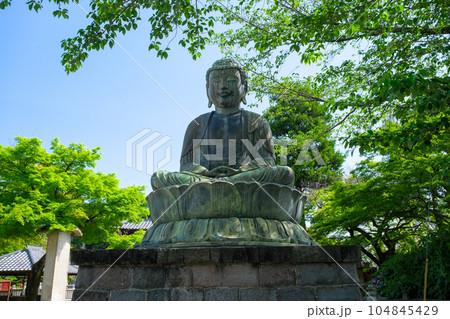 東京都文京区 護国寺 大仏 東京都文京区 護国寺 大仏 104845429